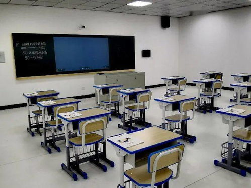 智慧赋能新篇章 我市教育信息技术应用能力培训基地揭牌成立