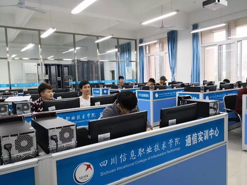 四川信息职业技术学院2019年单独招生简章技术信息咨询服务
